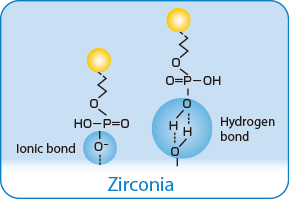 Simultaneous cleaning and priming effect on zirconia image01