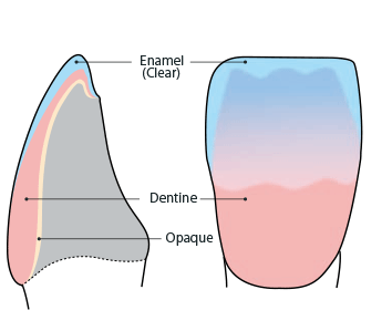 2 layers application